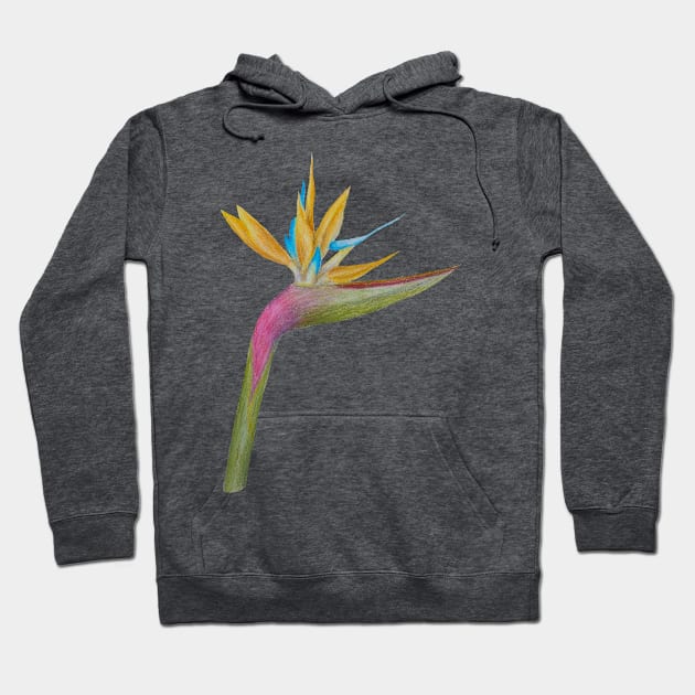 Bird of Paradise Hoodie by tiger1oo